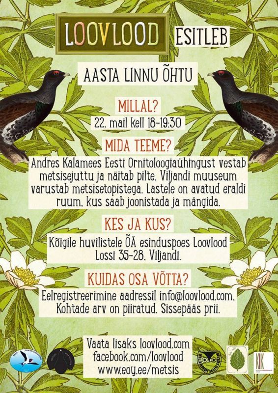 Metsise õhtu