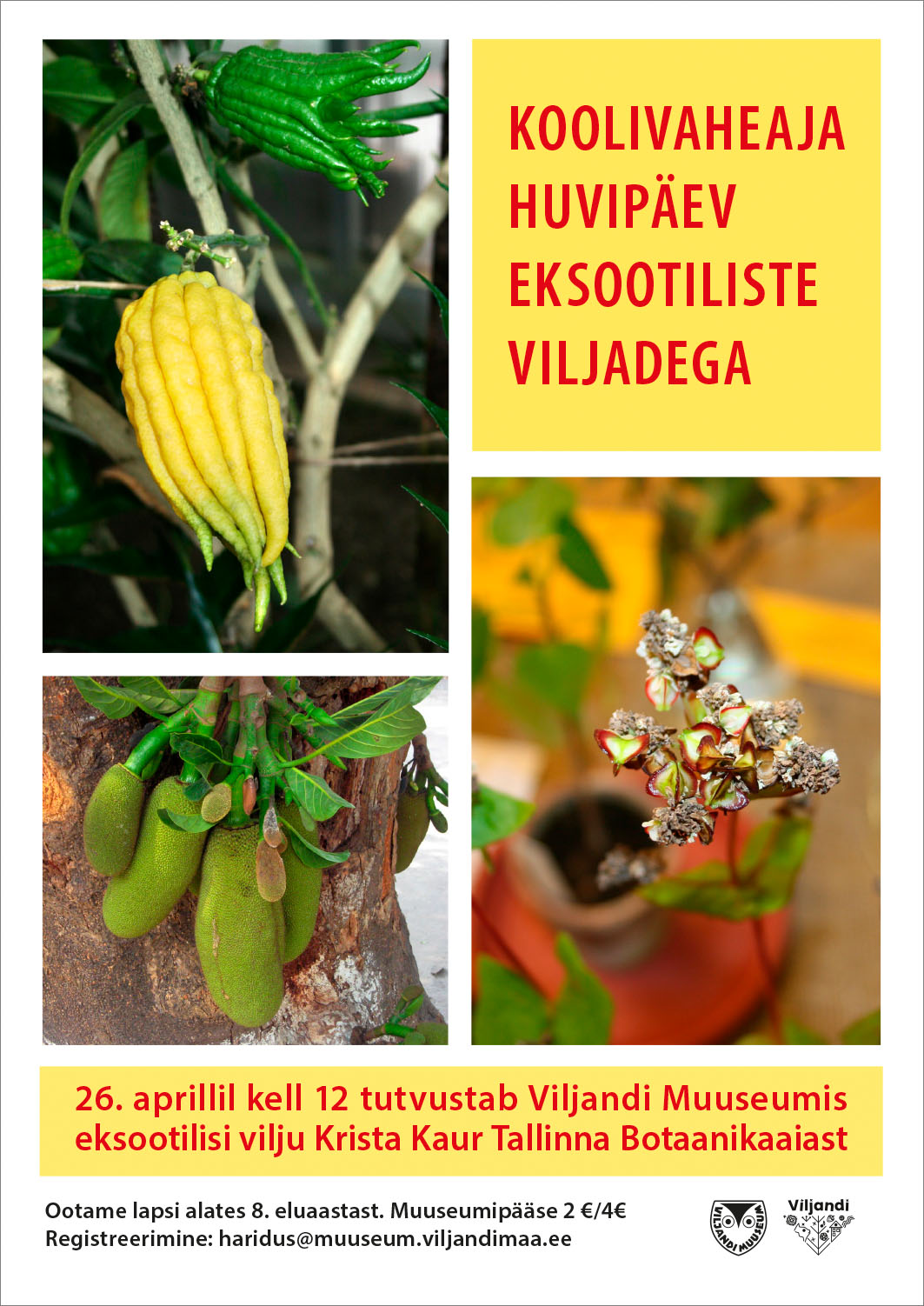 Plakat viljade huvipäev